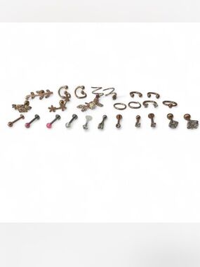 Assorted 25 piece Rose Gold & Silver Piercing Jewelry Set